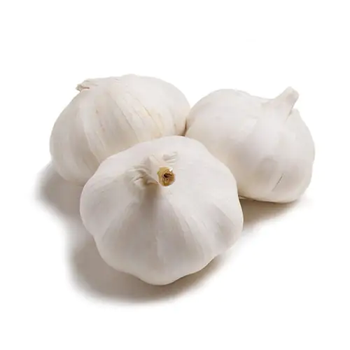Garlic 250g China