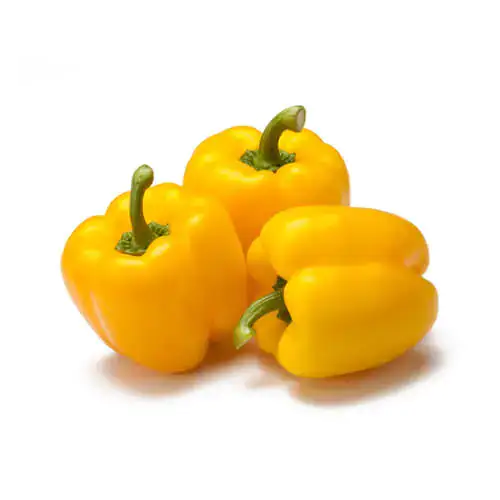 Capsicum Yellow 500g Jordan